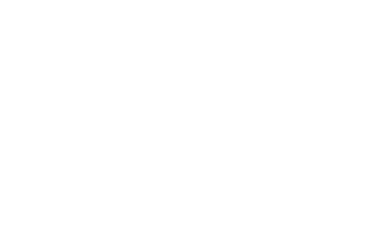 Primary Logo - All White